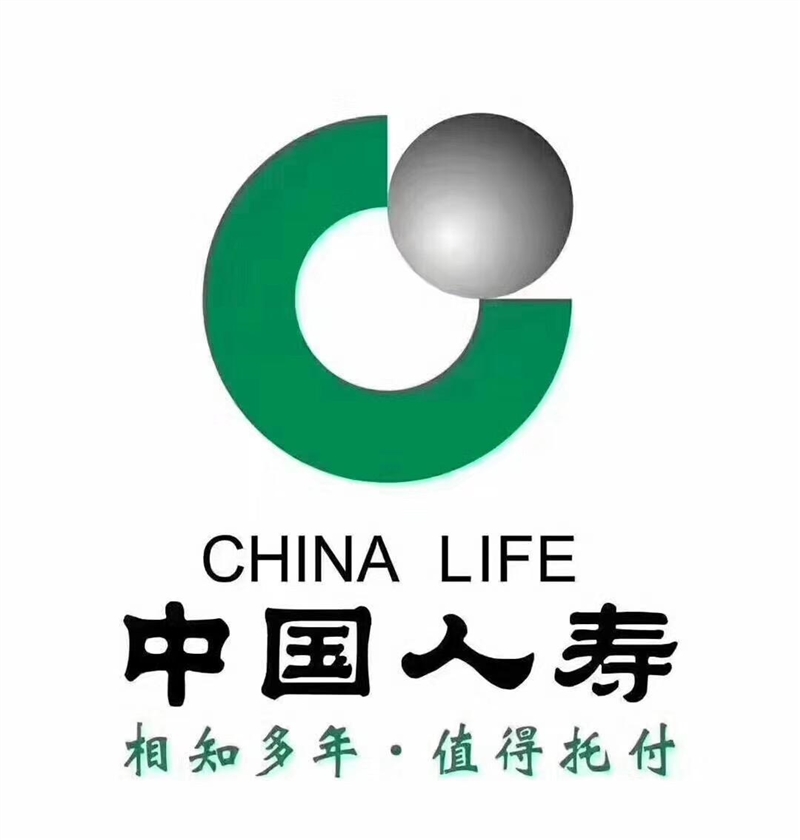 中国人寿保险公司岳西支公的图标