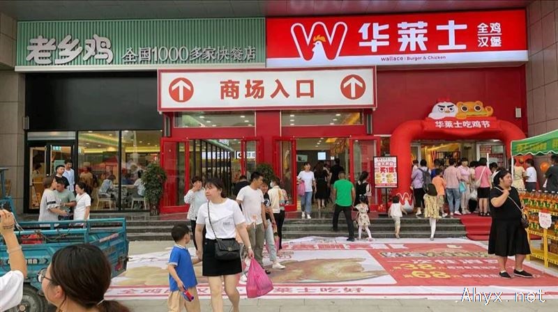山货好又多华莱士