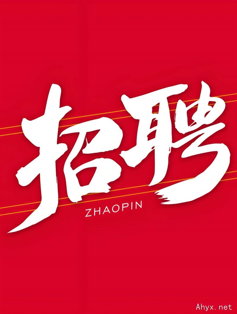招聘服务专员