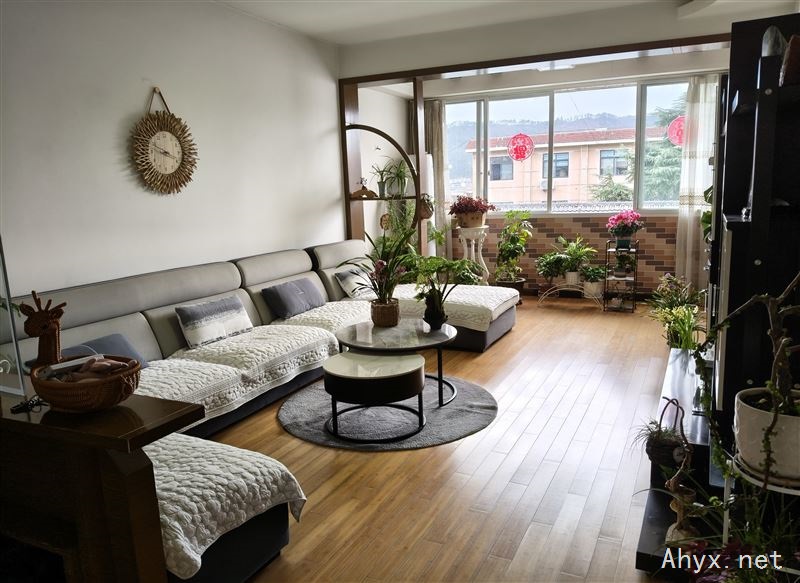 岳西县县委大院里商品房出售