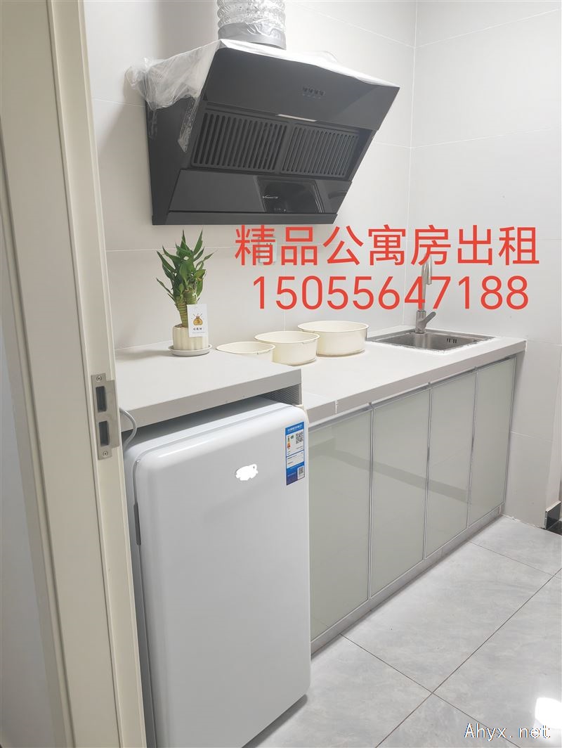 城西 精品公寓房 出租