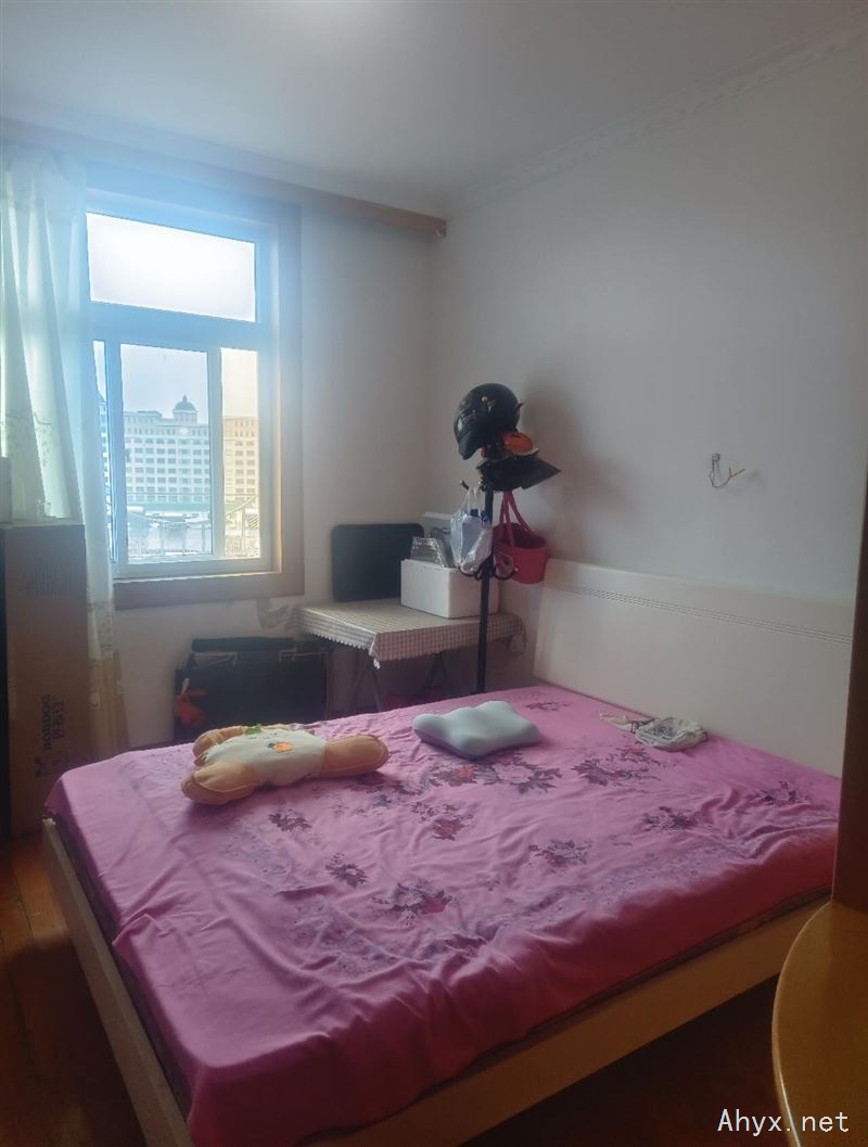 城中房屋出租