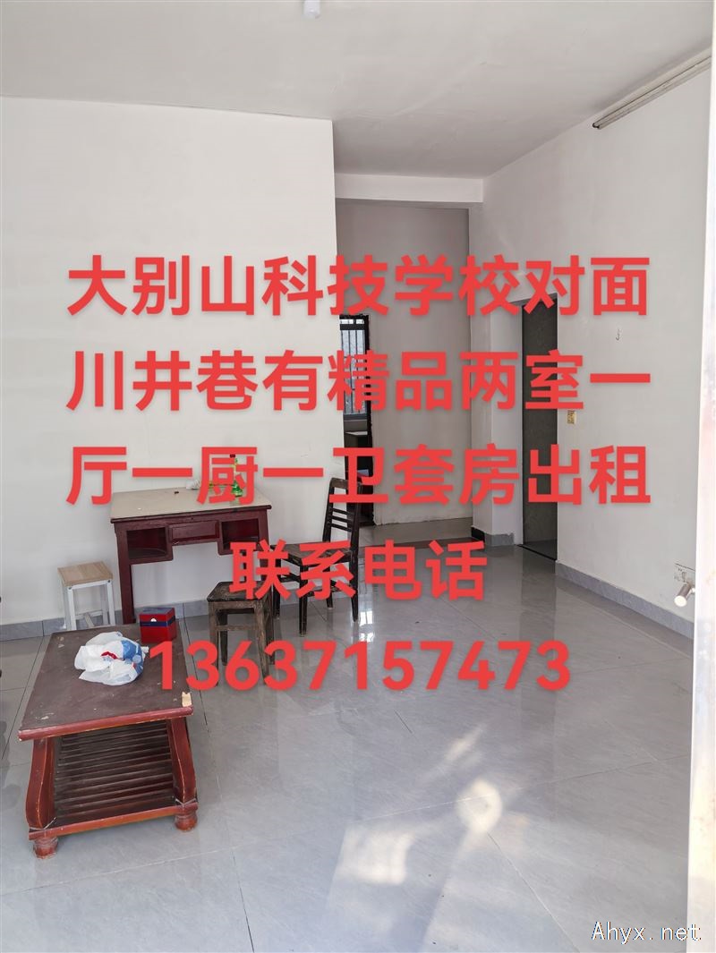 岳西大别山科技学校对面房屋出租