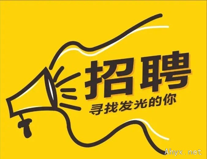 招聘服务专员